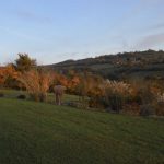 Autumn colours at South kelding