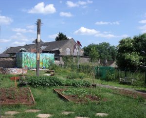 Primary school garden